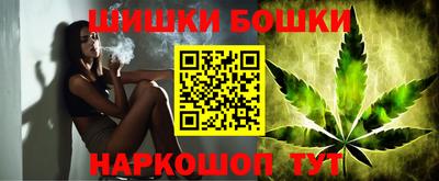 индика Гусь-Хрустальный