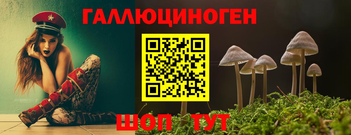 Псилоцибиновые грибы Psilocybine cubensis Ржев