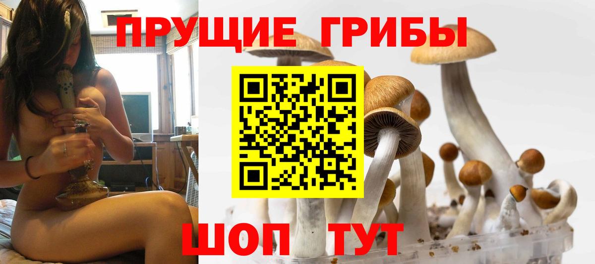 купить наркотики сайты  Галлюциногенные грибы Magic Shrooms  Вход с VPN  Ржев 